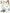 Marche Des Fleurs IOD Transfer (12″x16″ pad-8 sheets)