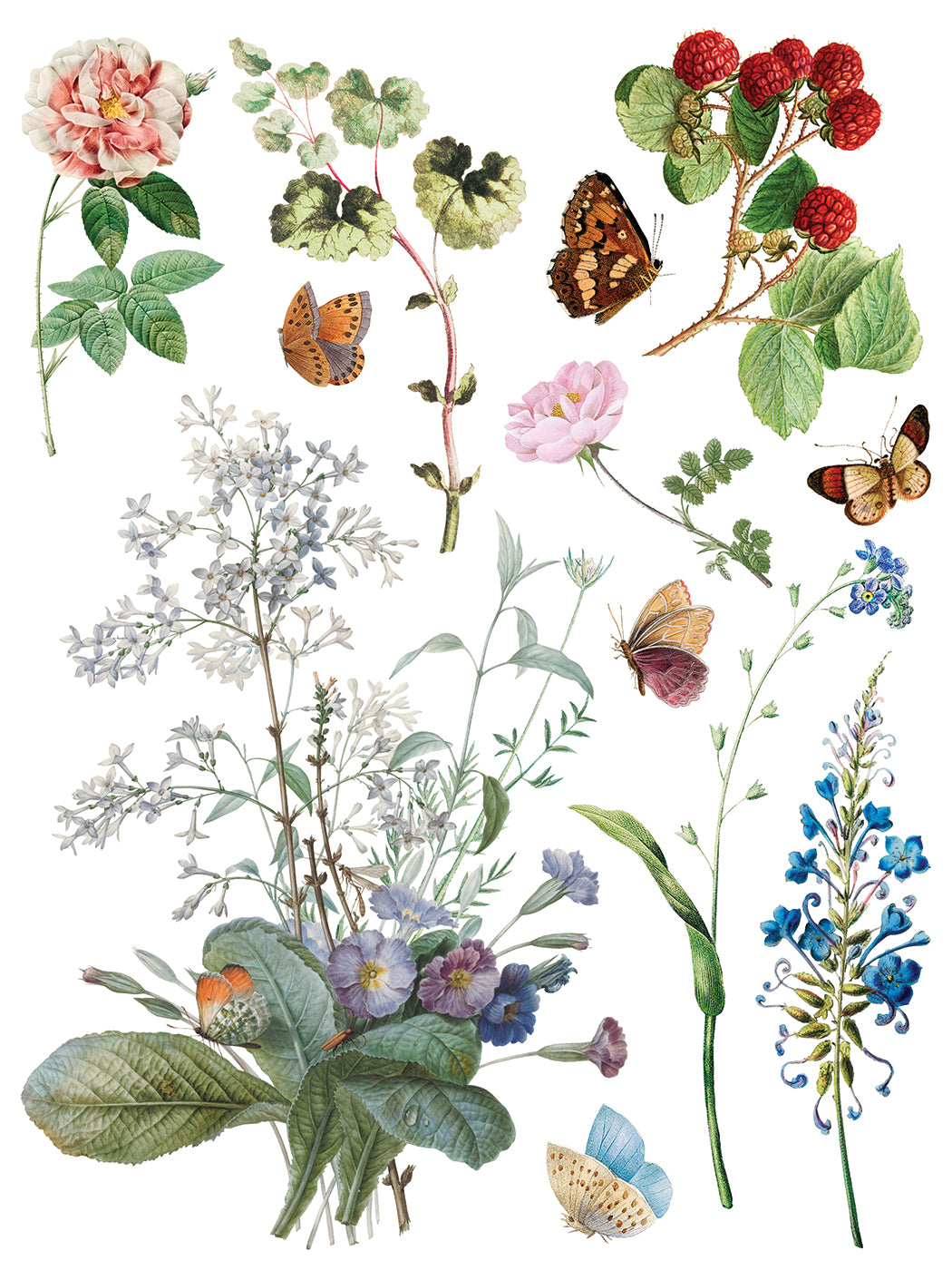Marche Des Fleurs IOD Transfer (12″x16″ pad-8 sheets)