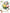 Marche Des Fleurs IOD Transfer (12″x16″ pad-8 sheets)