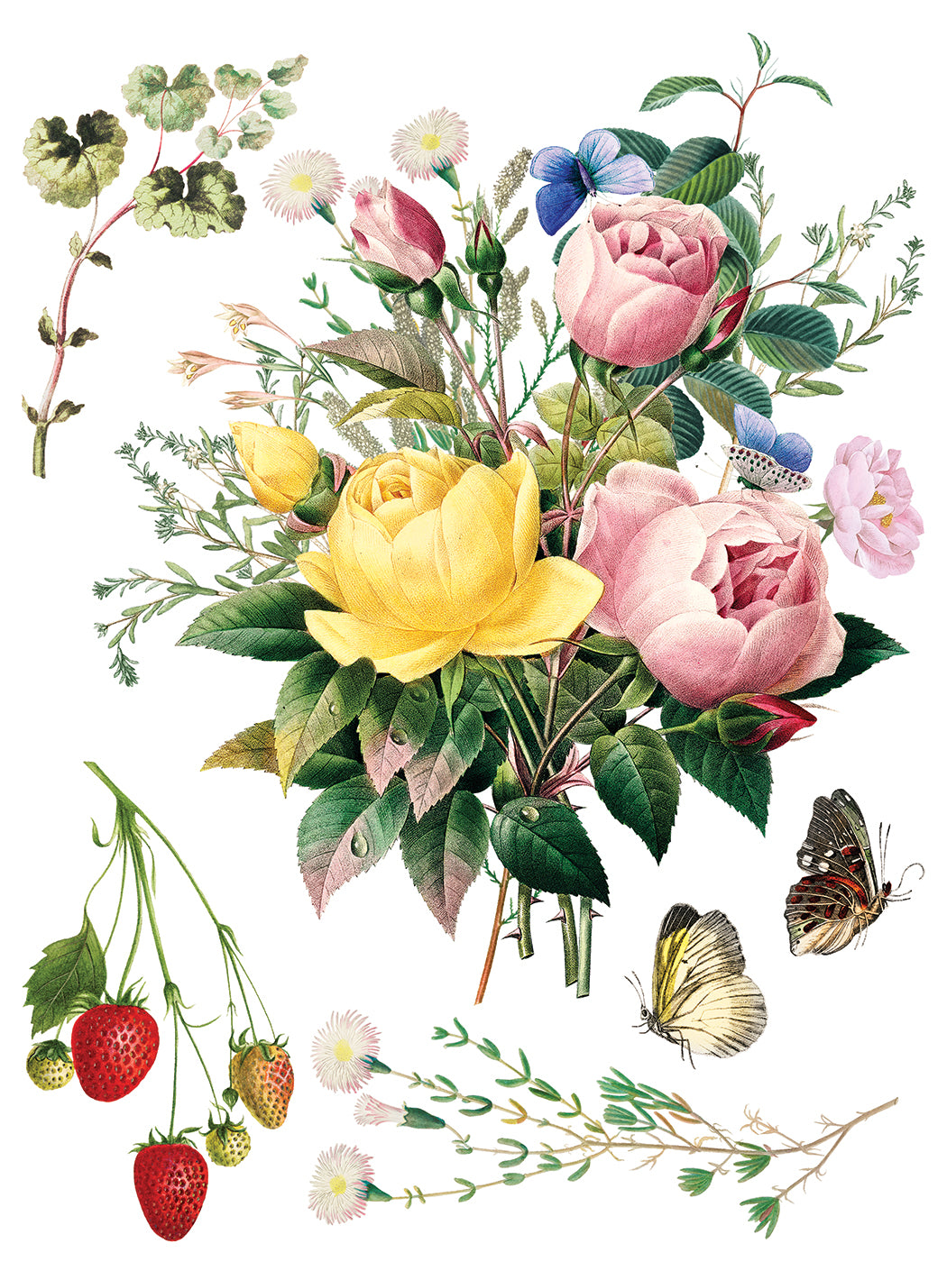 Marche Des Fleurs IOD Transfer (12″x16″ pad-8 sheets)