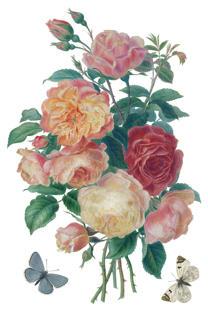 Saint Ouen IOD Transfer (8×12″ pad-8 sheets )