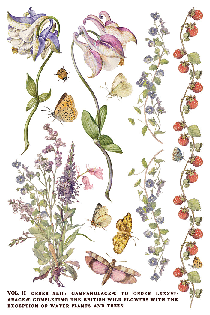 Primrose Isle IOD Transfer (8×12″ pad-8 sheets )