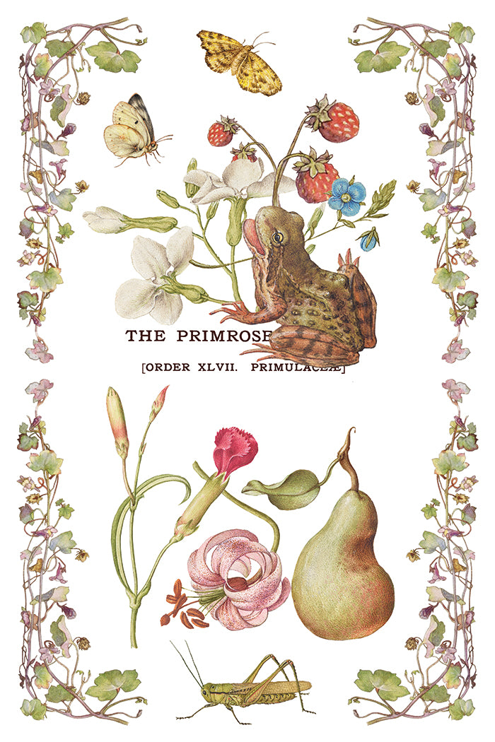 Primrose Isle IOD Transfer (8×12″ pad-8 sheets )