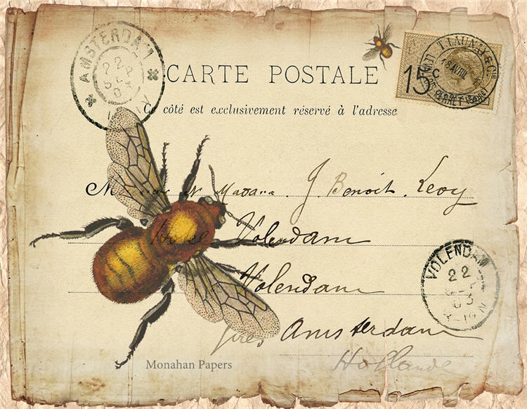 La Carte Bee - SPS677