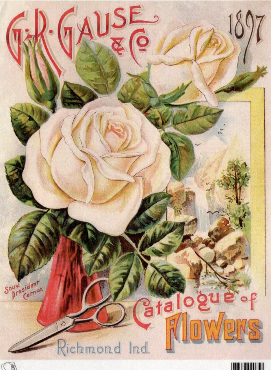 Calambour GR Gause & Co 1897 White Rose Catalog A4 Rice Paper TT111
