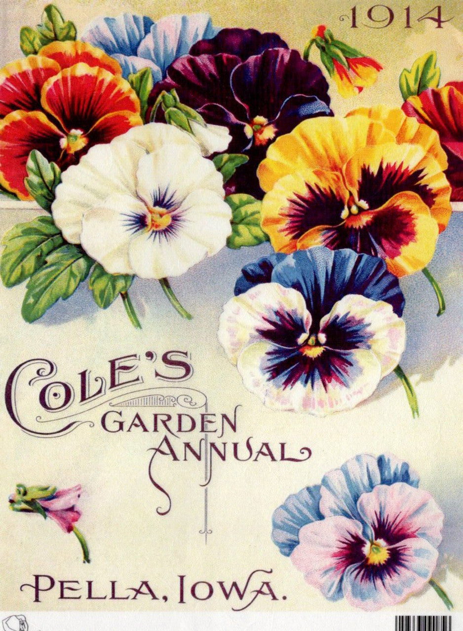 Calambour Cole's Garden Annual Panses 1914 A4 Rice Paper TT95