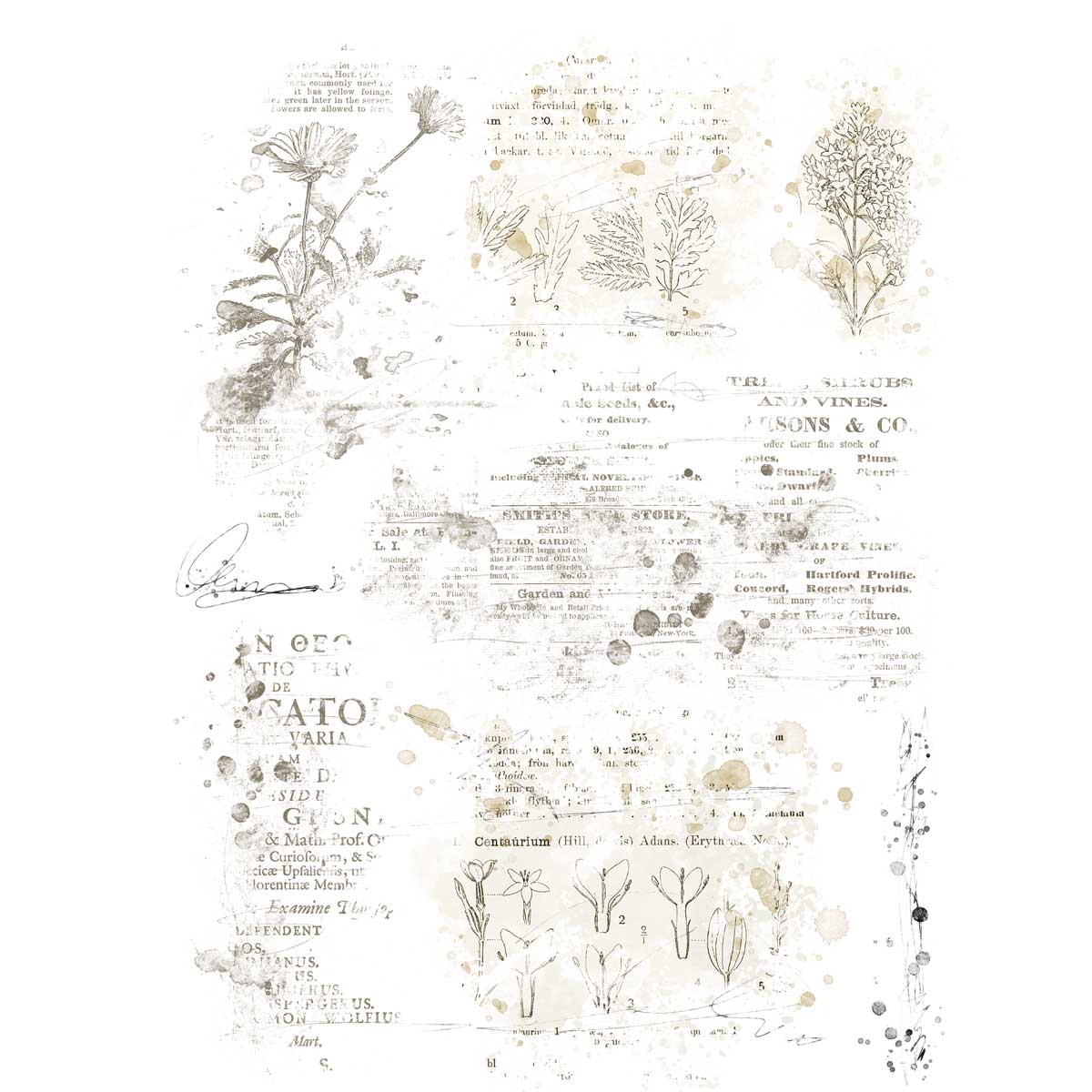 Essential Textbook Blends 01 Rub-On Transfers