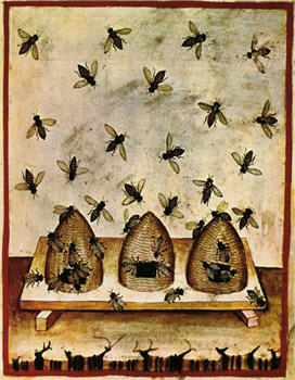 Beehives in Burgundy - X45