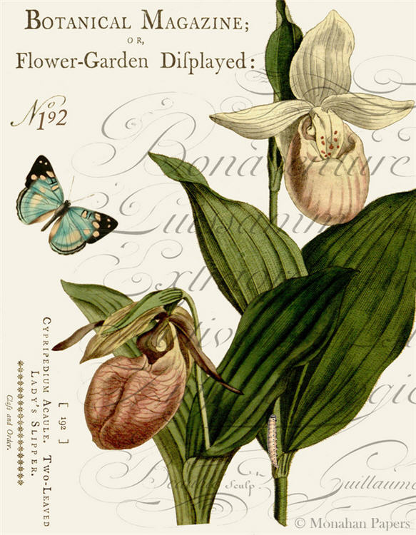 Ladies Slippers & Butterfly - X474