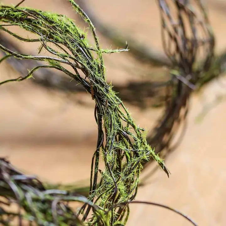 6' Natural Twig Vine Garland with Faux Moss