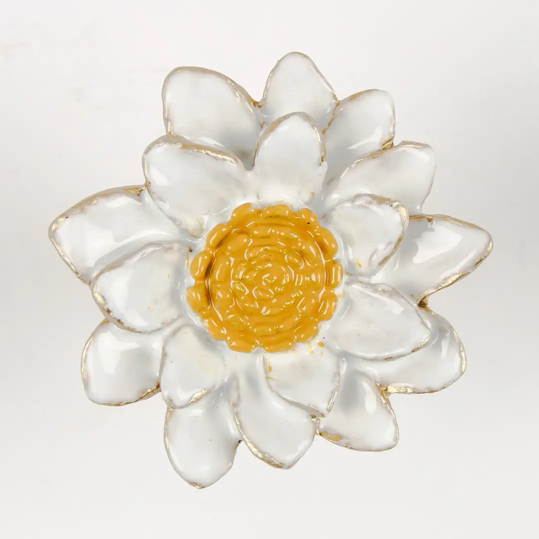 Marguerite Daisy Knob
