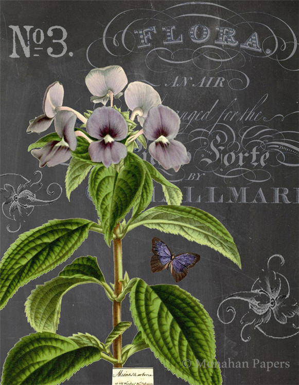 Botanical 201 - BOT201