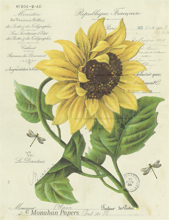 Botanical 54 - BOT54