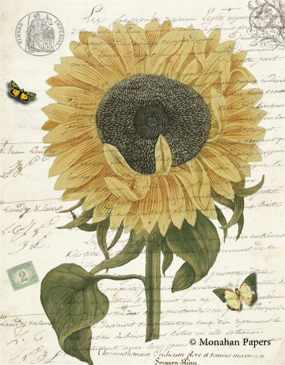 Botanical 65 SUNFLOWER (SITS ON HORIZONTAL PAGE) - BOT65