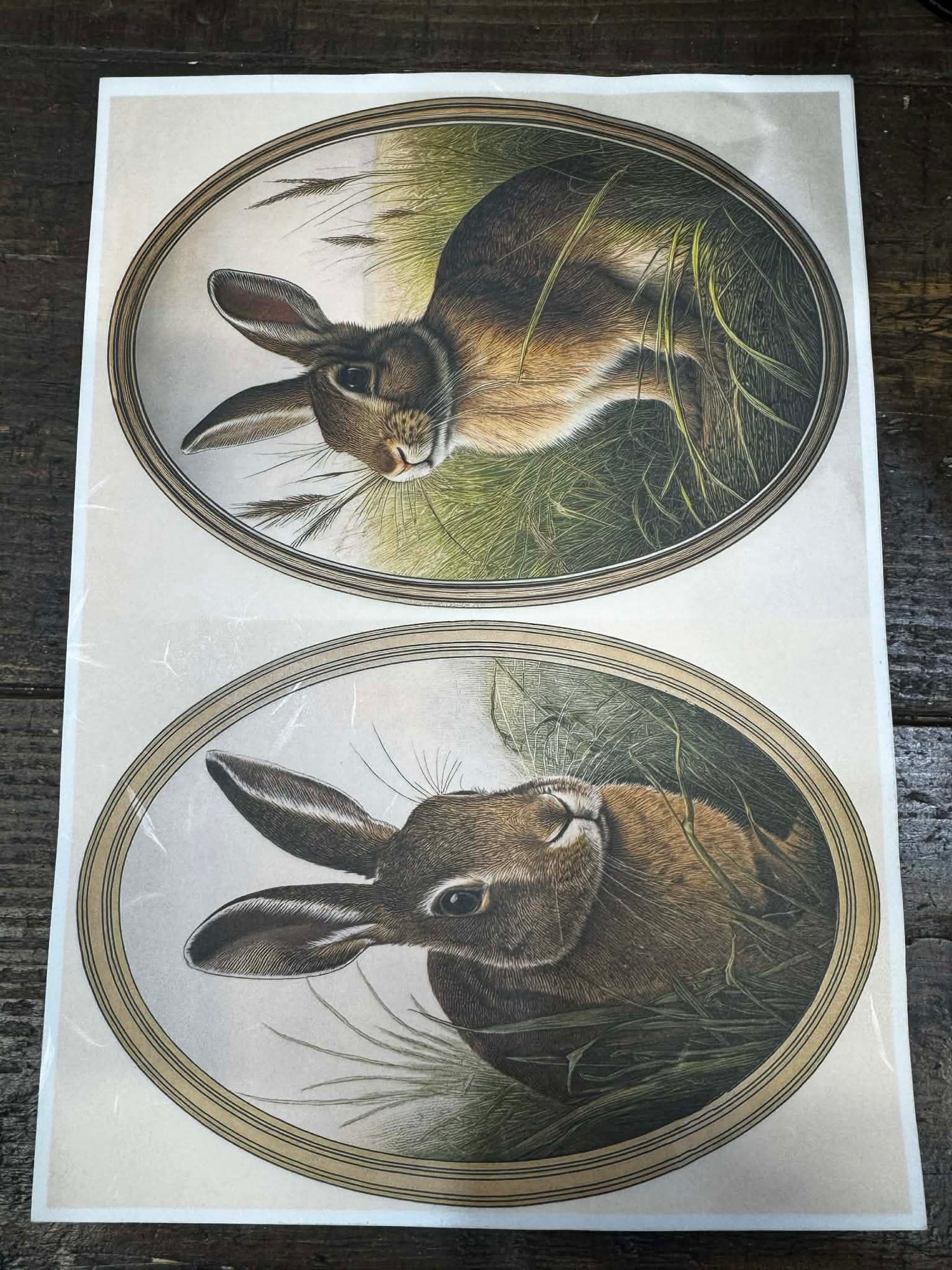 Bunnies| JRV A4 Rice Paper