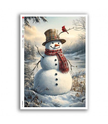 Frosty Meadow Friend 0378
