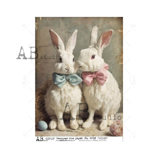 AB Studios White Boy and Girl Bunny A4 Rice Paper  4783