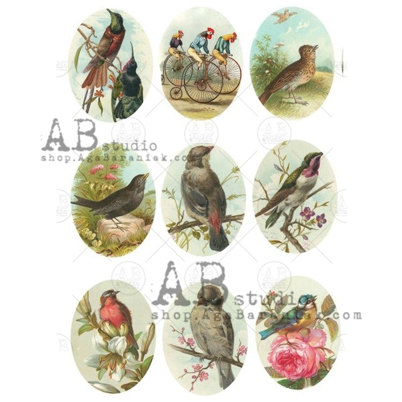 AB Studios Rice Paper A4 Bird Cameos 0563