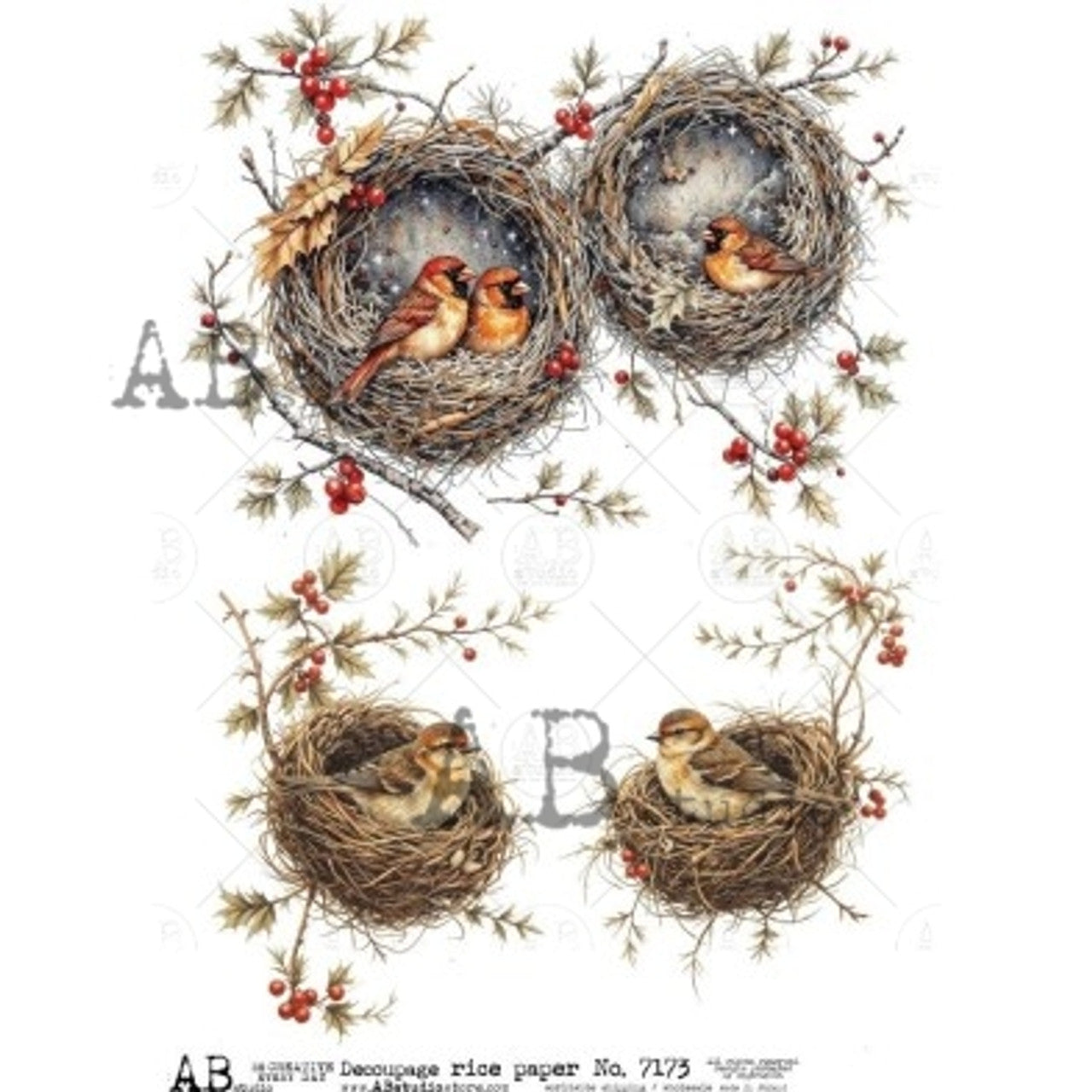 AB Studios Birds in Nests with Holly A4 Rice Paper 7173