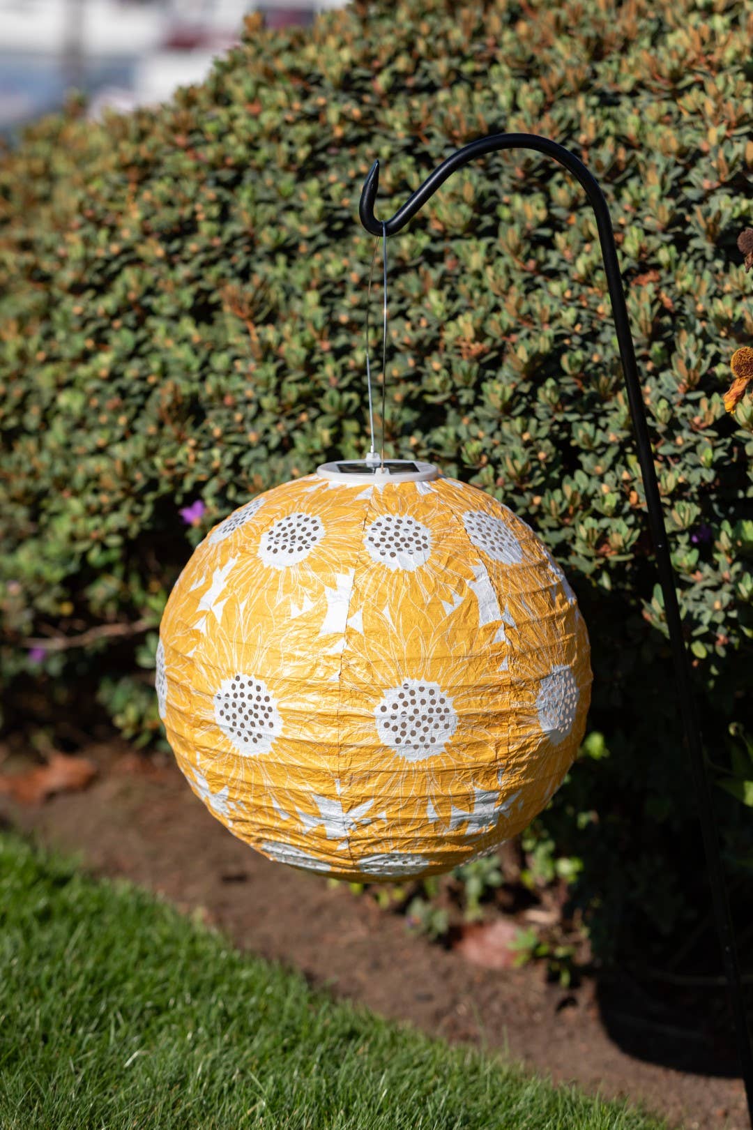 Stella Print 12" Globe Solar Lantern - Marigold