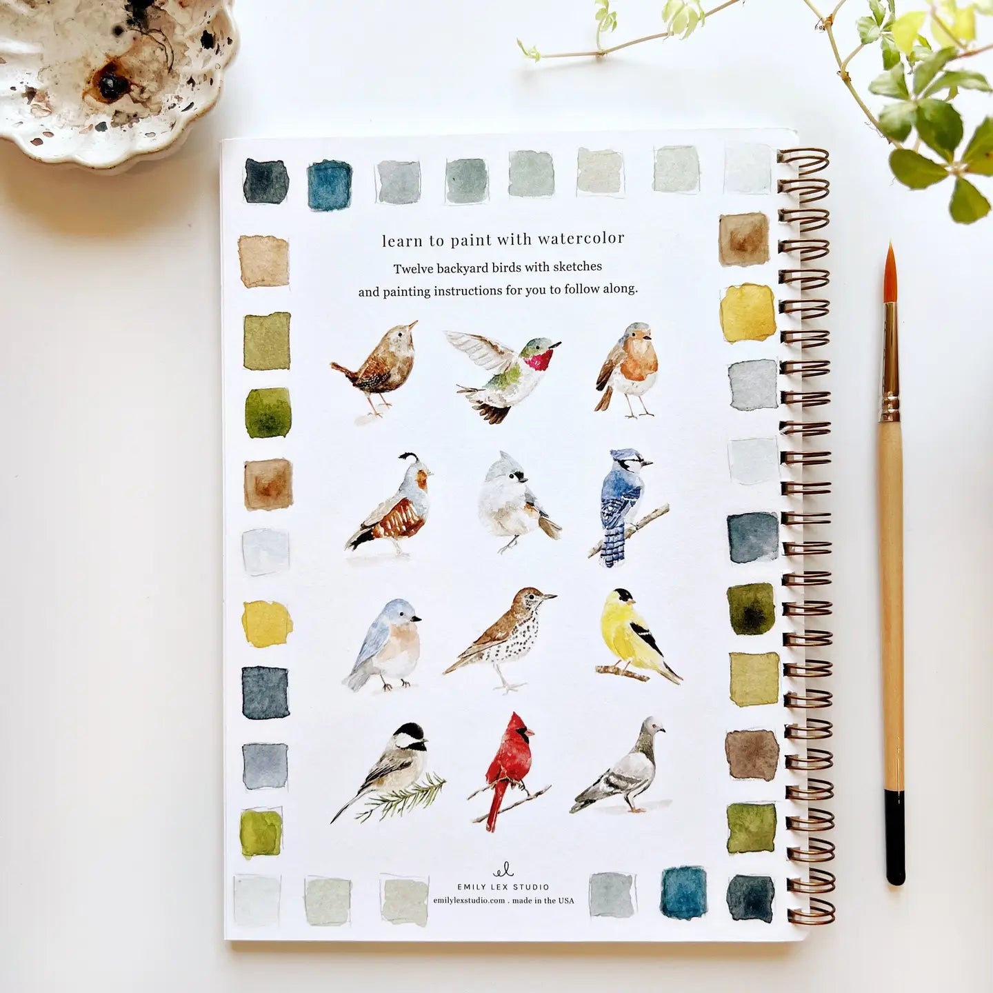 Emily Lex Water Colour Books-BIRDS