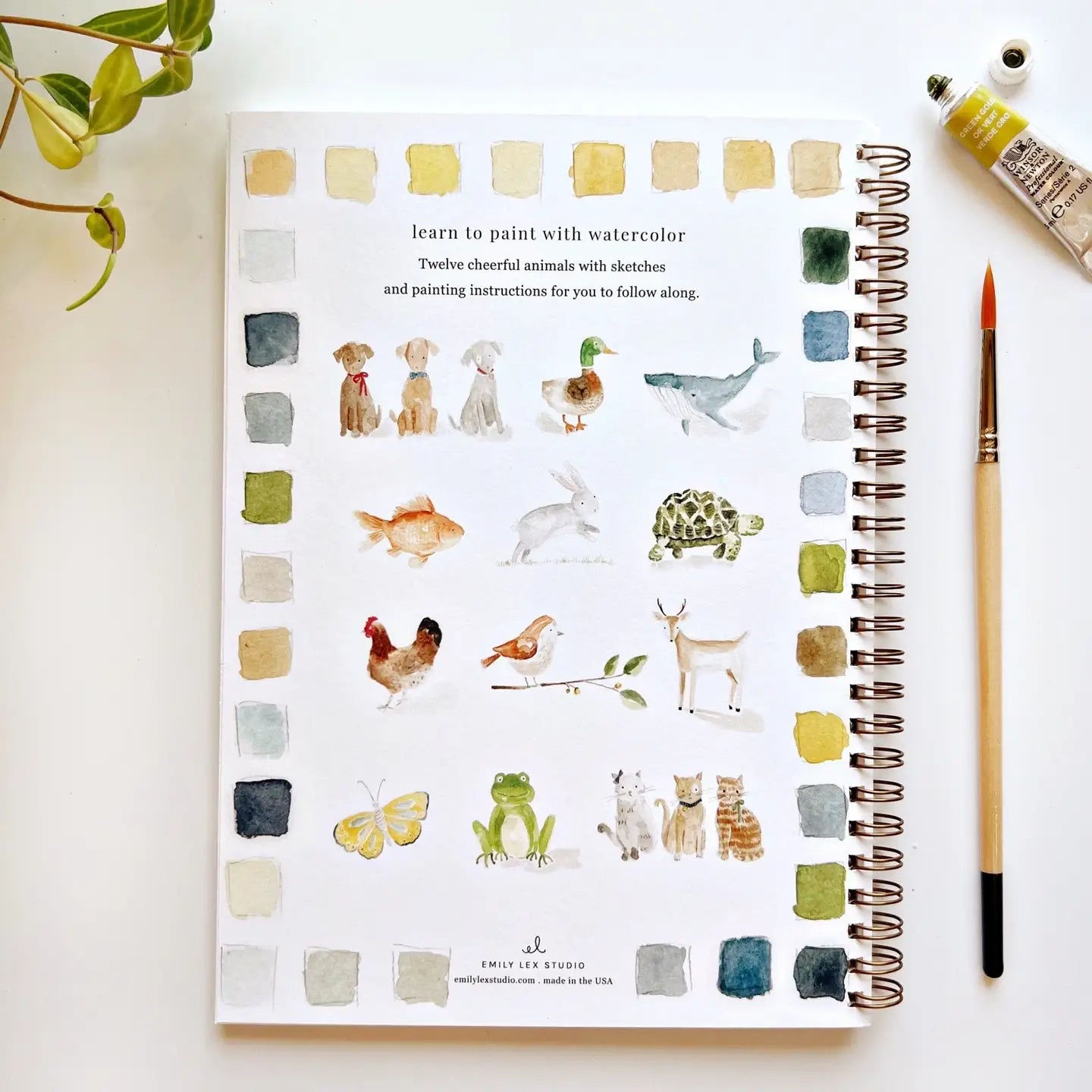 Emily Lex Water Colour Books-ANIMALS