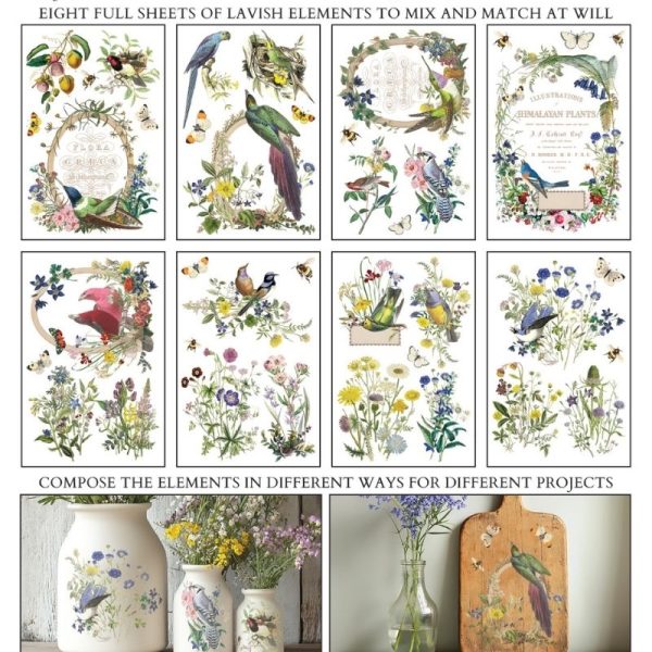 Flora Greca IOD Transfer (8″x12″ pad-8 sheets)