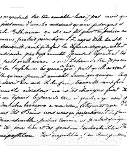 Script- 490 Wendy Vecchi Background Stamp: WVBG022