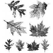 Falling Leaves Tim Holtz Cling Mount Stamps CMS097