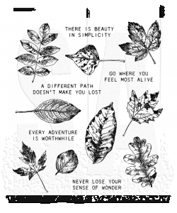 Nature's Wonder Tim Holtz Cling Mount Stamps CMS343