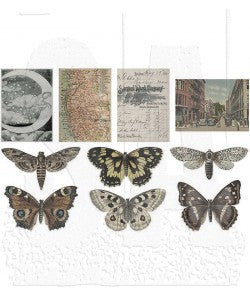 TH IDEAOLOGY: TRANSPARENT THINGS