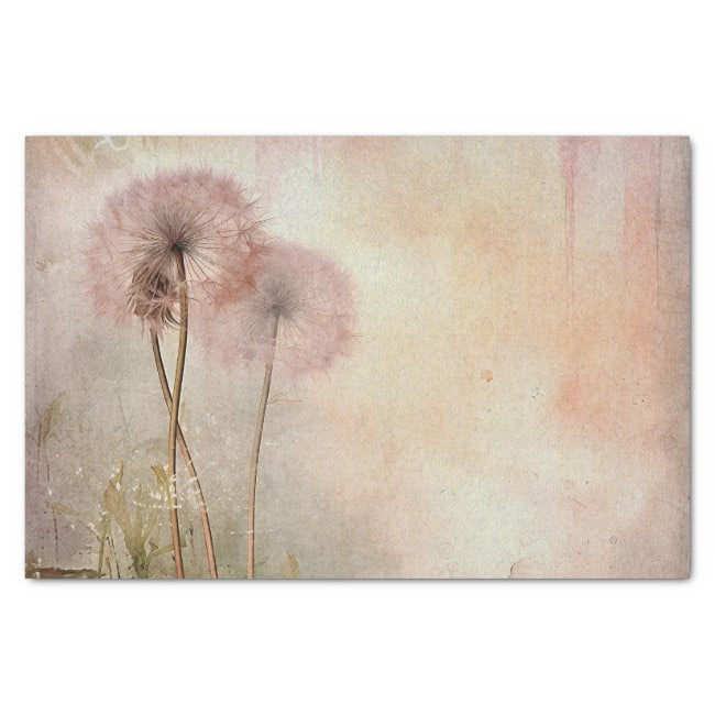 DANDELIONS IN THE WIND PAPER - soft pink