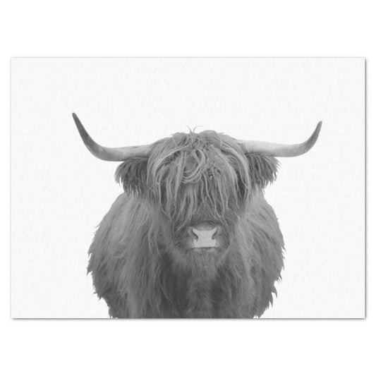 Highland Cow Scotland Rustic Black White