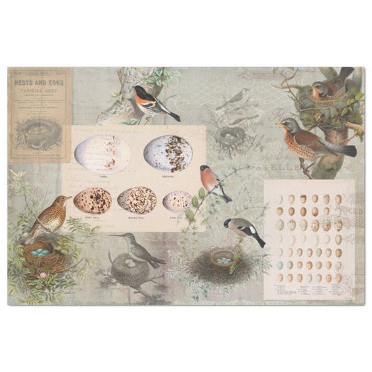 Vintage Birds Nest Eggs Script Ephemera Decoupage Tissue Paper