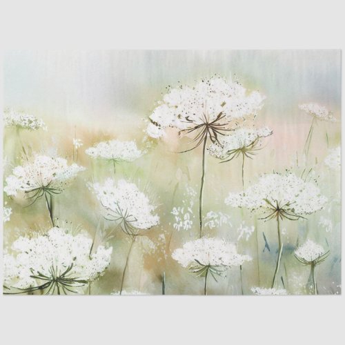 Field of Flowers-Queen Anne's Lace (B) Watercolor Tissue Paper