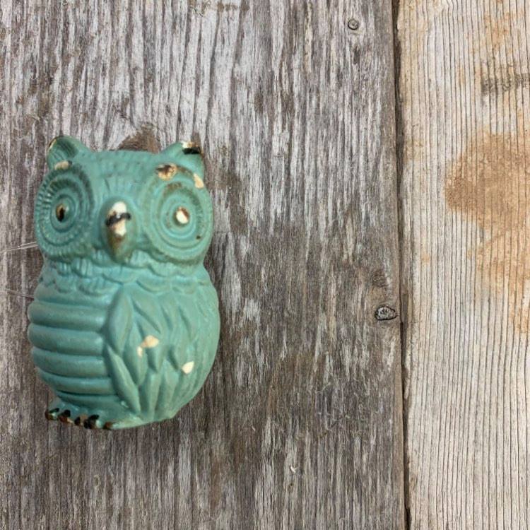 KNOB - OWL