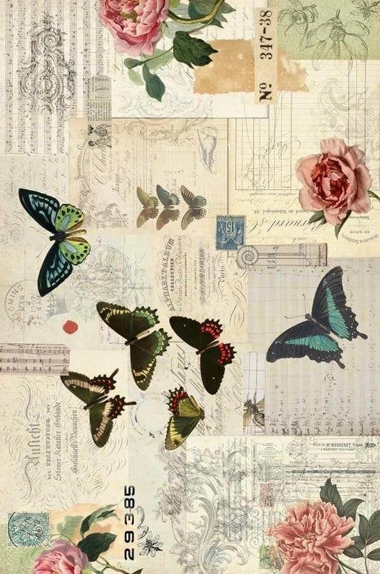 ROYCYCLED--BUTTERFLY MASTERBOARD