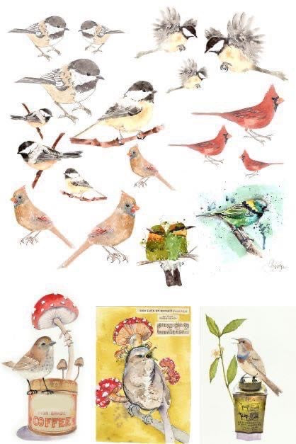 Roycycled-Catalogue of Birds