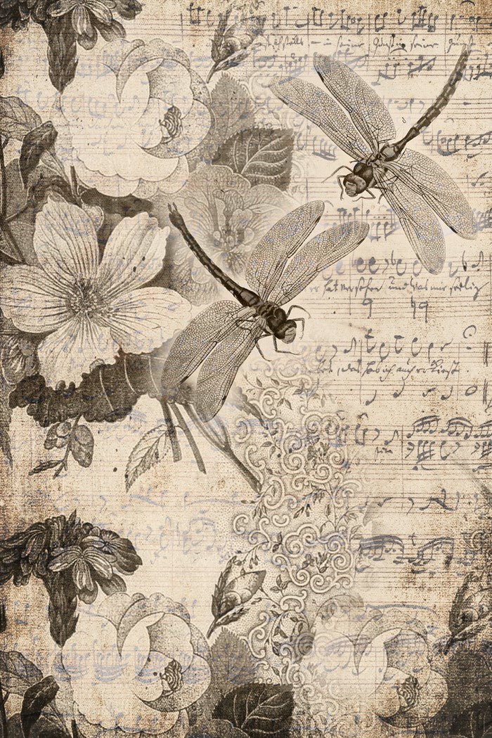 Roycycled - Musical Dragonflies