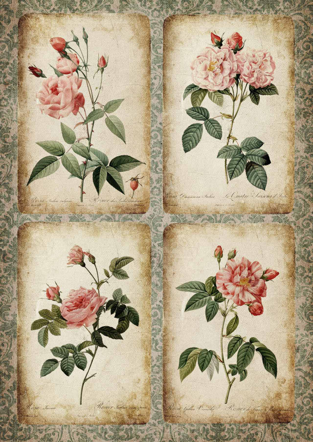 DECOUPAGE QUEEN- Rose Cards 0240