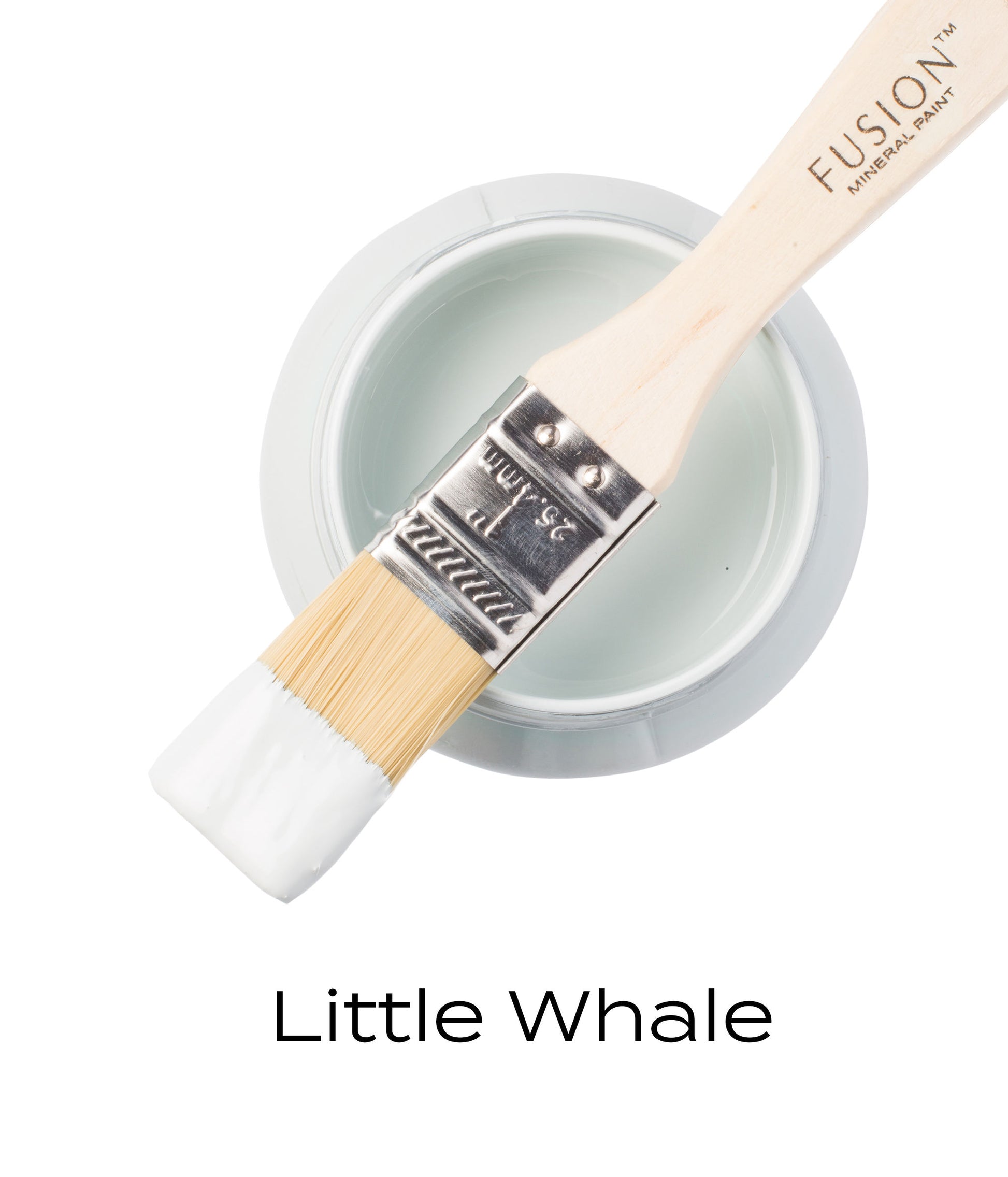 Little Whale.