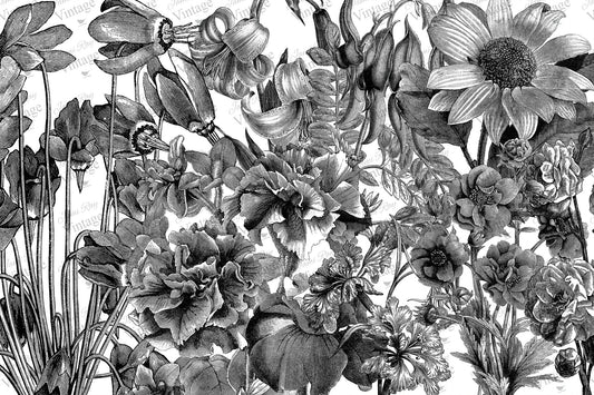 JRV Paper -Black and White Floral