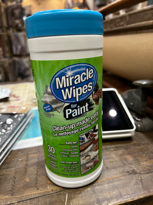 MIRACLE WIPES FOR PAINT