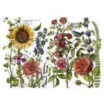 IOD TRANSFER BOTANIST'S JOURNAL 12" X 16" PAD OF 4 SHEETS