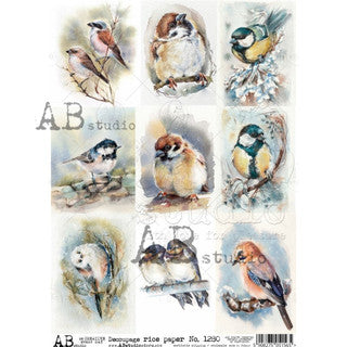 AB Studios 9 Pack Watercolor Birds A4 Rice Paper-8"x11"-1280
